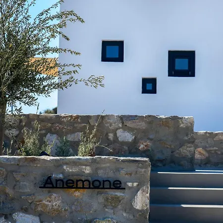 Villa Anoterra -anemone Ampelas